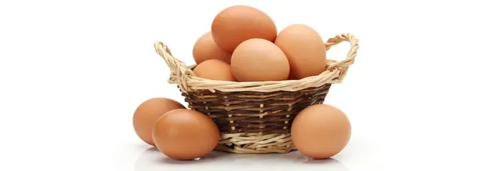 Food Allergy Solutions in Northfield MN